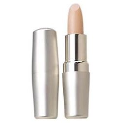 Shiseido The Skincare Protective Lip Conditioner Защитное средство для губ SPF10
