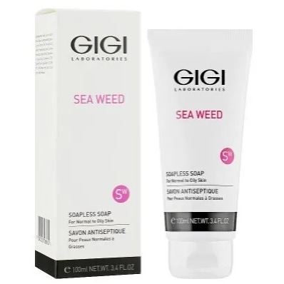 GiGi Sea Weed Soapless Soap Мыло жидкое непенящееся для нормальной и жирной кожи