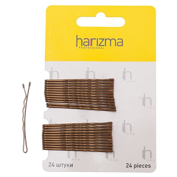 Harizma Professional Аксессуары h10534-04 Невидимки 50 мм волна коричневые 24 шт Невидимки 50 мм волна коричневые 24 шт