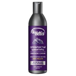 Platinum Blond Silver Blond Cool Iceberg Shampoo