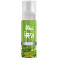 Мицеллярная пенка Secret Fresh тонизирующая с муцином, имбирем и женьшенем