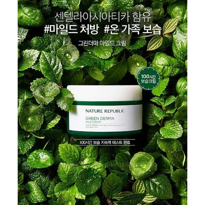 Nature Republic Skin Care Green Derma Mask Sheet Листовая маска для лица 