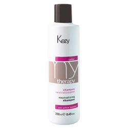 Post Color Neutralizing Shampoo