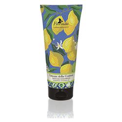 Mosaico Italiano Shampoo Shower Gel Limone della Costiera