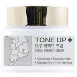 Daegu Tone UP Perfect Cream