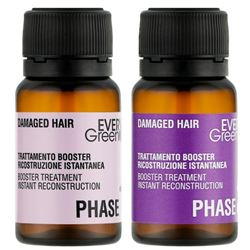 Vegan Damaged Hair Instant Booster