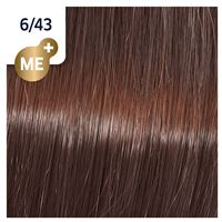 6/43 дикая орхидея