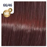 66/46 красный рай