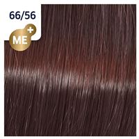 66/56 пряная сангрия