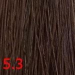 5.3 светлый золотисто-коричневый