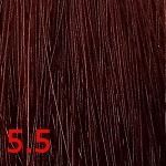 5.5 бархатная ночь