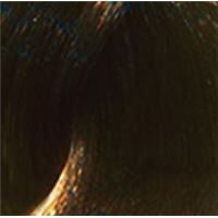 6.113 темный блондин матовый