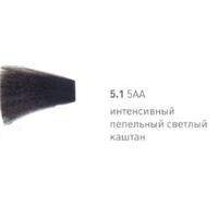 5.1 Натуральный пепельный светлый каштан