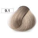 9.1 Очень светлый блондин пепельный