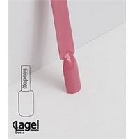 1797 Китайская роза 