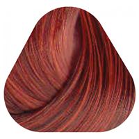 66/46  Зажигательная латина