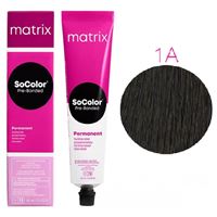 1A (1.1) Иссиня-черный пепельный