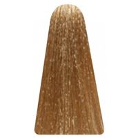 9.13 Холодный золотистый очень светлый блондин 