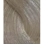 10.1 Пепельный экстра светлый блонд 