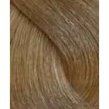 9.31 Бежевый очень светлый блонд  