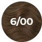6/00 Темный блонд натуральный интенсивный