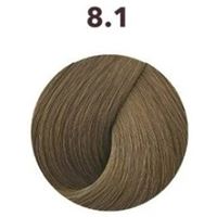 8.1 