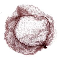 темно-коричневая 