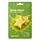 Star Fruit 