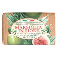 Инжир и алоэ 