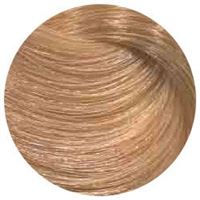 11/43 специальный блондин медно-золотистый