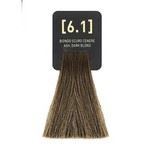 6.1 Пепельный темный блондин